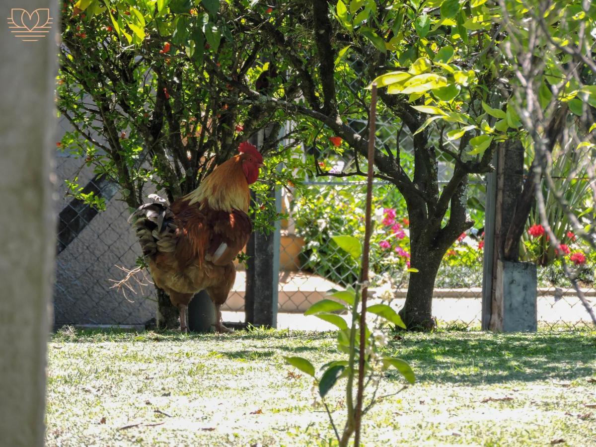 Recanto Nonna Lourdes, Casa No Vale Dos Vinhedos Com Cafe Da Manha Colonial Incluso Holiday home *