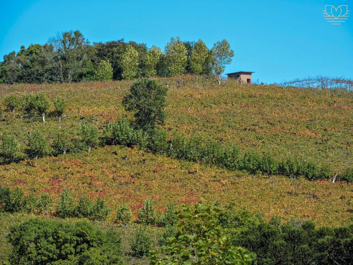 Holiday home Recanto Nonna Lourdes, Casa No Vale Dos Vinhedos Com Cafe Da Manha Colonial Incluso